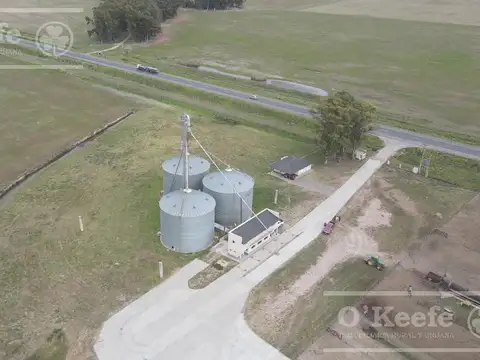 Campo Mixto en Genaral Alvear. 3100 Has armadas sobre Ruta. Excelente unidad de negocio.