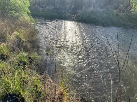 FINCA EN VENTA SAN CARLOS