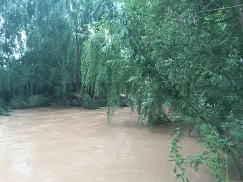 FINCA EN VENTA SAN CARLOS