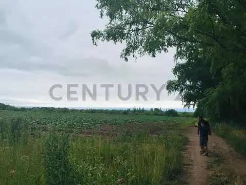 FINCA EN VENTA SAN CARLOS