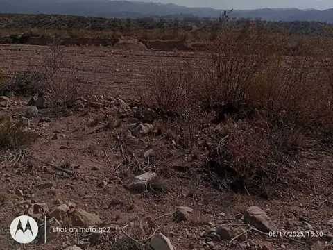 venta de terreno en potrerillos