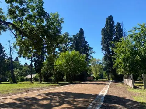 Lisandro de la Torre