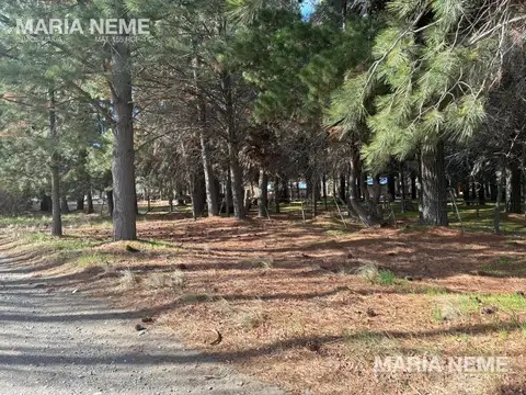 Terreno en Venta de 2500,0 m2