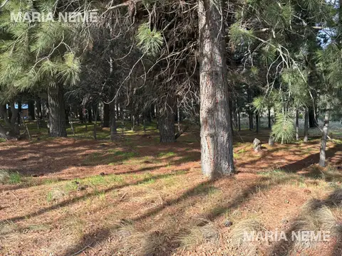 Terreno en Dina Huapi