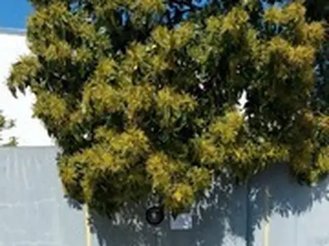 Venta en La Loma, La Plata