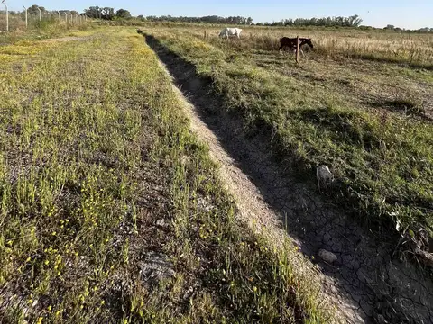 Terreno en Venta 60  mts Fondo