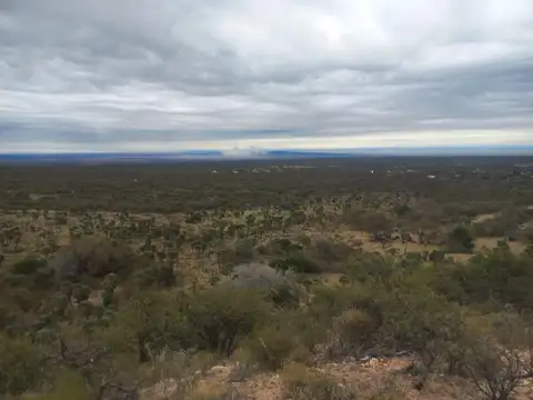 Campo en Venta de 24  ha