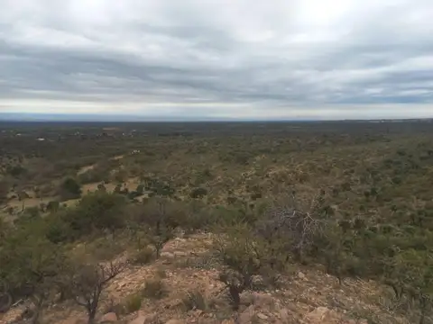 Campo en Venta Granja