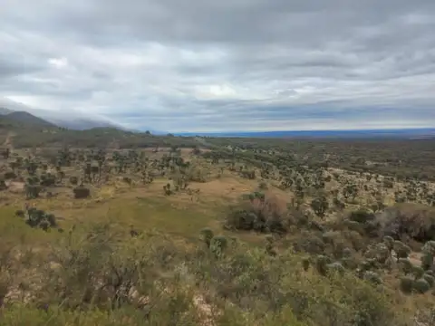 Campo en Venta Granja