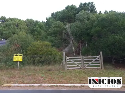 Francisco de las Carreras