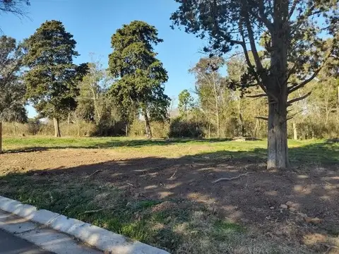 Terreno - Venta - Argentina, Berazategui