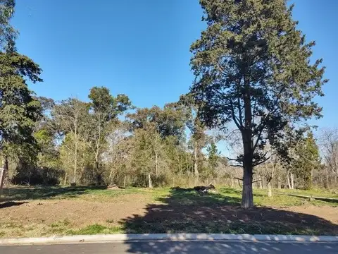 Terreno en Venta en San Juan Chico, USD 70.000