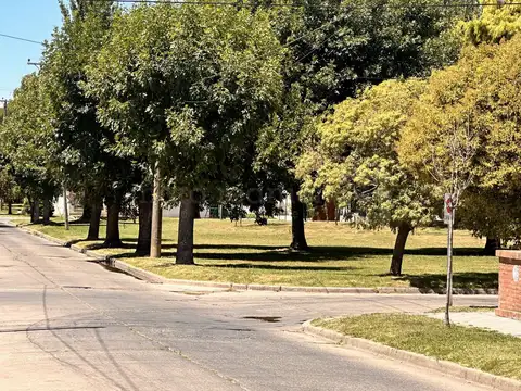 JUAREZ 100