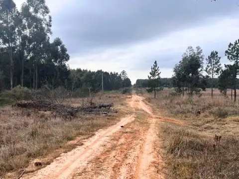 ESPECTACULAR CAMPO EN VENTA!