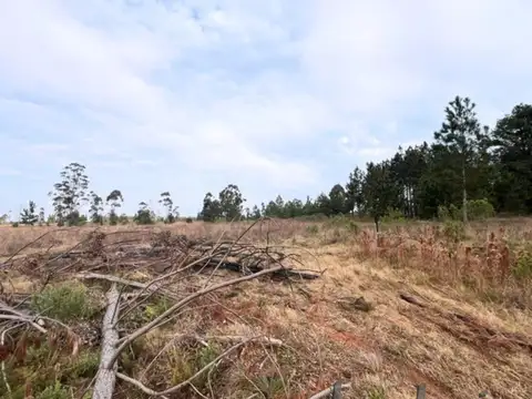 ESPECTACULAR CAMPO EN VENTA!