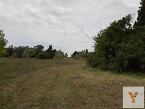 Terreno en venta - 10.575Mtss2 - Berisso