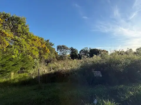 VENTA DE LOTE PARADA DE ROBLES