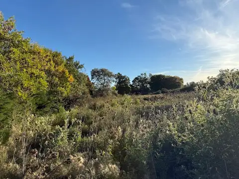 Terreno en Venta en El Zorzal, USD 45.000