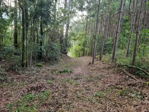 Lote de 10 hectáreas en San Vicente, Misiones