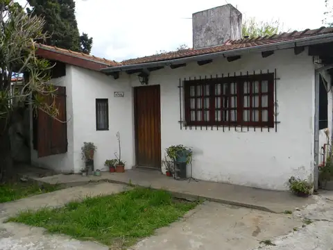 Pío XII 4700