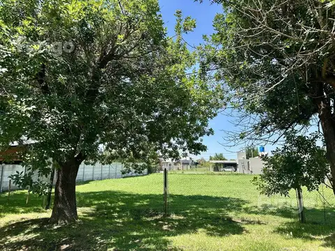 Scalabrini Ortiz 1500