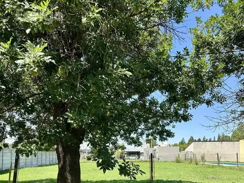 Scalabrini Ortiz 1500