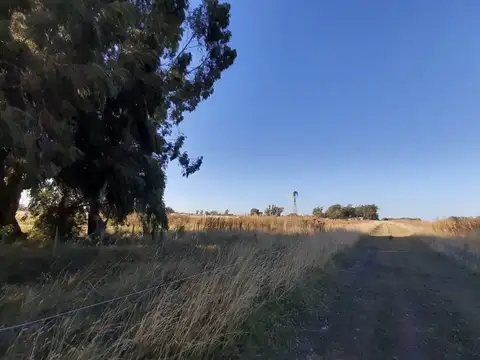 Terreno en Venta de 20007,0 m2