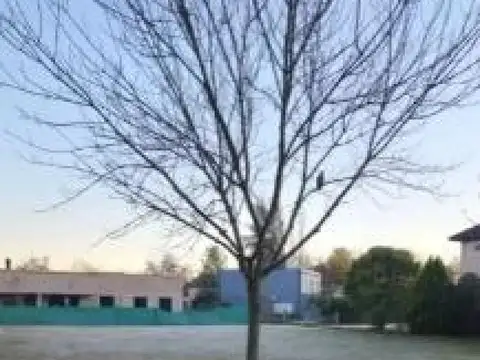 Terreno en Venta de 917,0 m2