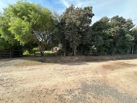 Venta 3 Parcelas Linderas
