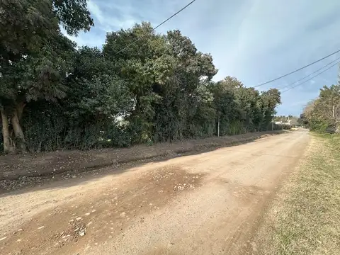 Terreno en Venta 14  mts Frente