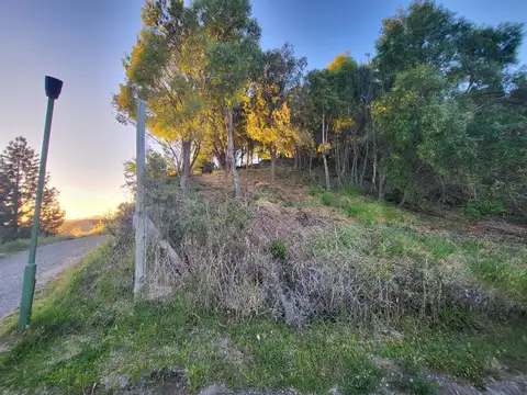 Terreno en Venta 40,75  mts Fondo