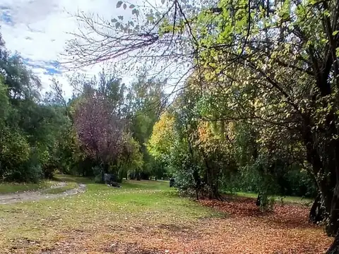 Campo en Venta de 7  ha