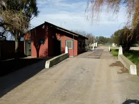Ruta 88 Km 5