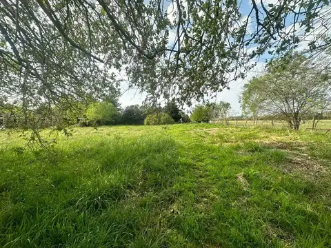 Terreno en Venta de 600,0 m2