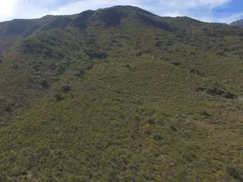 Terreno en Venta de 5000,0 m2