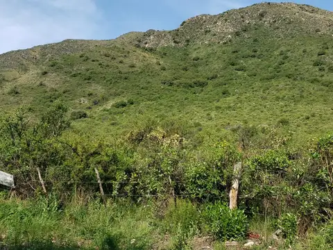 Terreno en Venta en Villa Elena, USD 65.000
