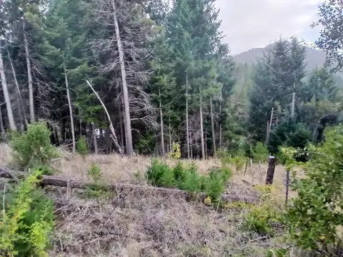 Terreno en VENTA . Lago Puelo