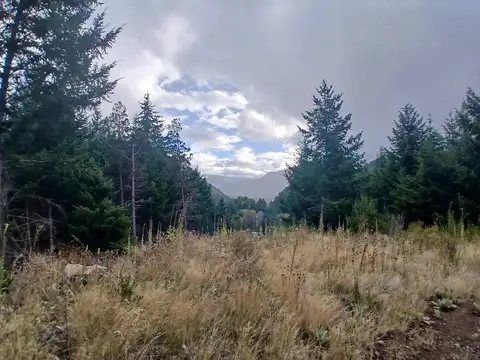 Terreno en Venta en Lago Puelo, USD 30.000