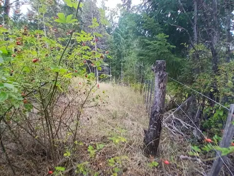 Cerro Radal.uf 2. Parcela 8. Cushamen
