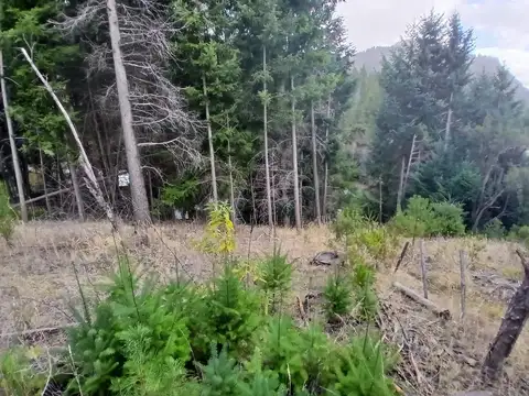 Terreno en Venta de 1469,0 m2