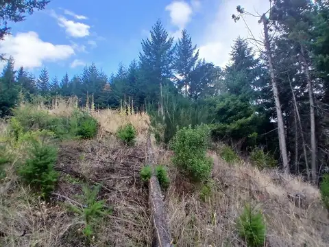 Cerro Radal.uf 2. Parcela 8. Cushamen