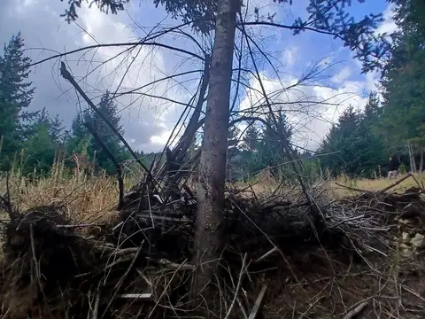 Terreno en Venta de 1469,0 m2