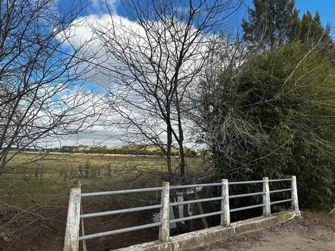 Ruta 39 Y Calle La Capilla