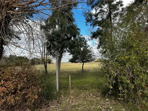 CAMPO DESARROLLO INMOBILIARIO EXALTACION DE LA CRUZ