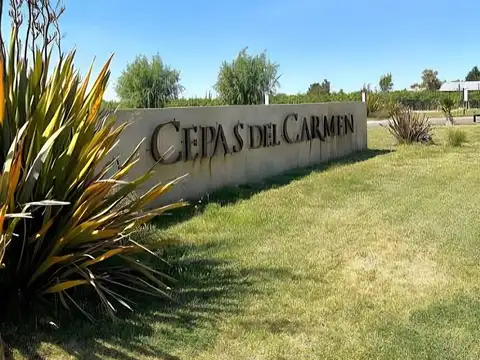 TERRENO EN VENTA EN CEPAS DEL CARMEN- JUNIN