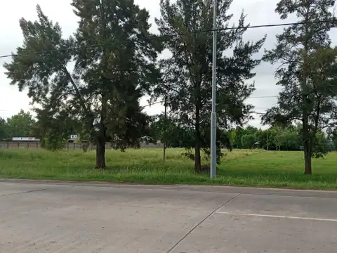 IMPORTANTE LOTE HOSTAL DEL SOL FISHERTON