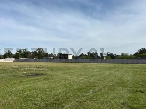 Ocantos y Discepolo