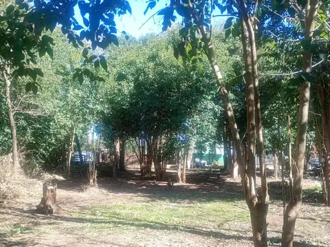 VENTA LOTE 490M2 VILLA C. PARQUE - LOS REARTES