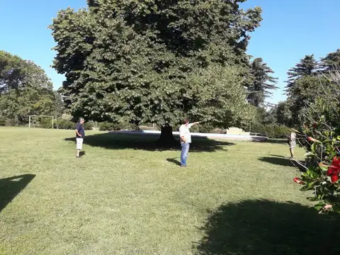 Rivadavia 100