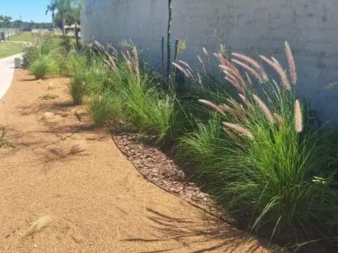 VIDA LAGOON